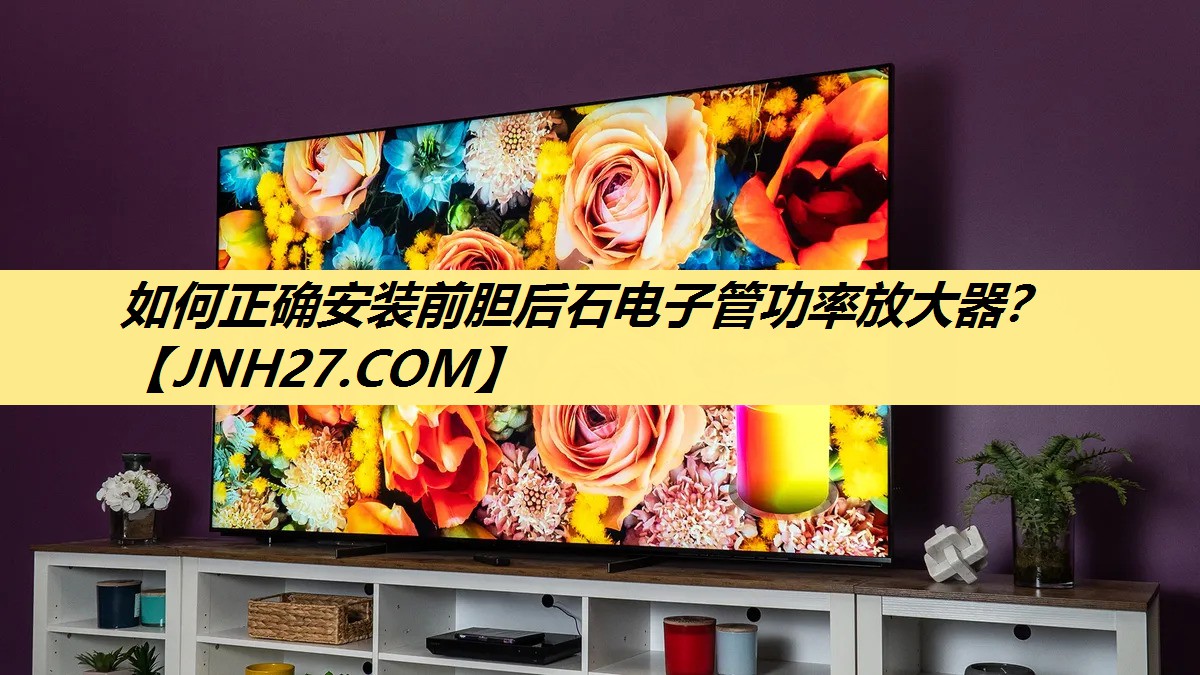 如何正确安装前胆后石电子管功率放大器? 如何正确安装前胆后石电子管功率放大器?