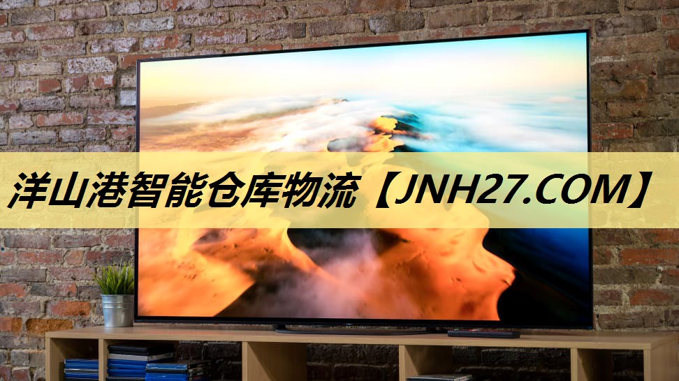 洋山港智能仓库物流 洋山港智能仓库物流