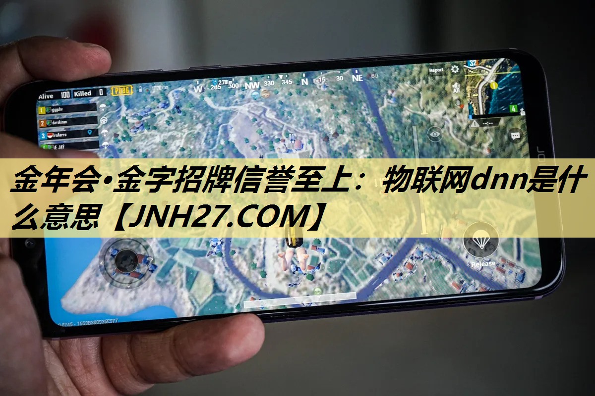 物联网dnn是什么意思 物联网dnn是什么意思