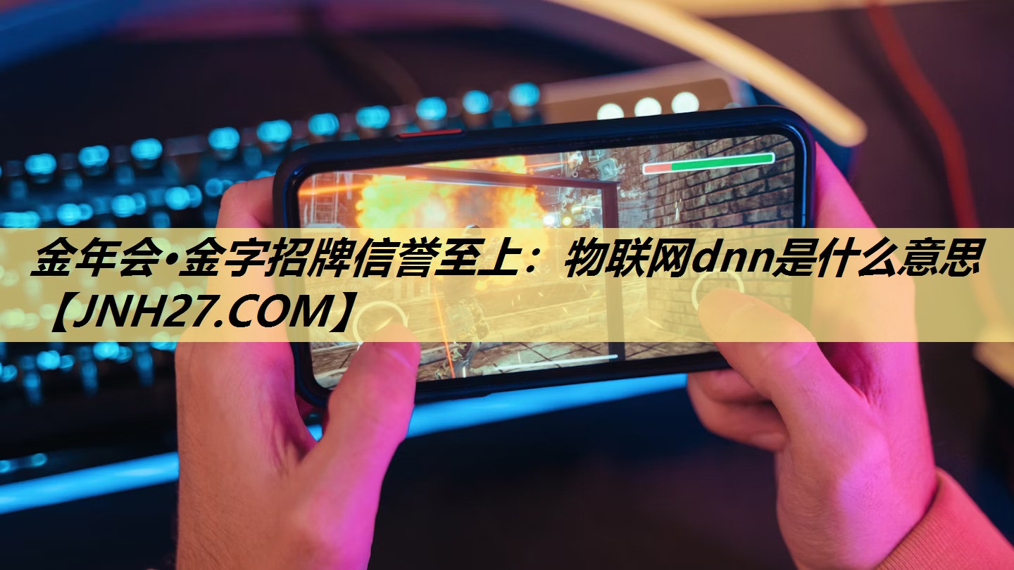 物联网dnn是什么意思 物联网dnn是什么意思