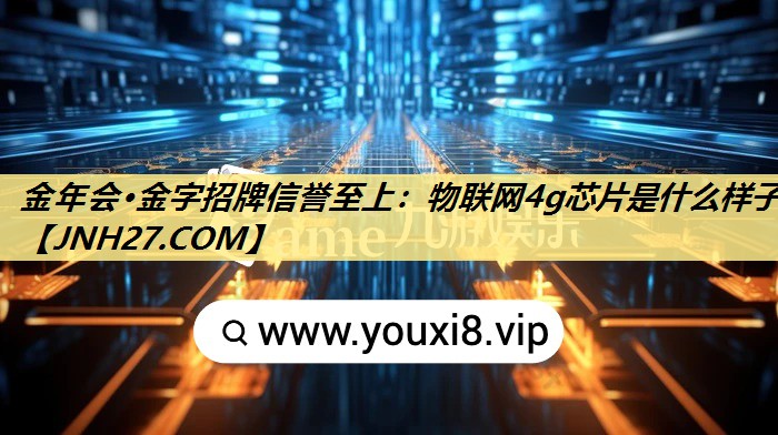 物联网4g芯片是什么样子 物联网4g芯片是什么样子